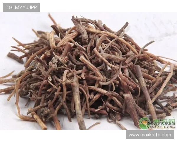 凯发国际官网首页入口：平台安全措施与用户隐私保护策略全面介绍